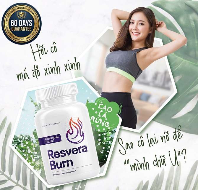 ResveraBurn Ingredients